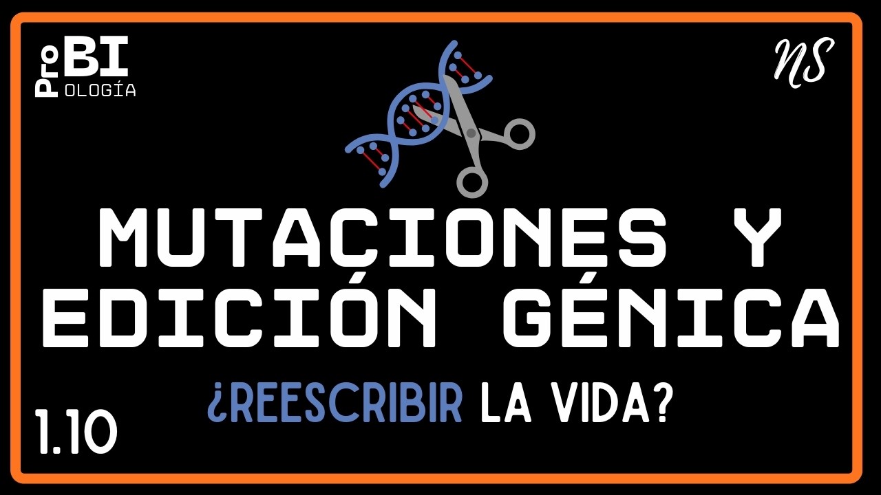 1.10. MUTACIÓN Y EDICIÓN GENÉTICA (NS) Bachillerato Internacional Tema D1.4