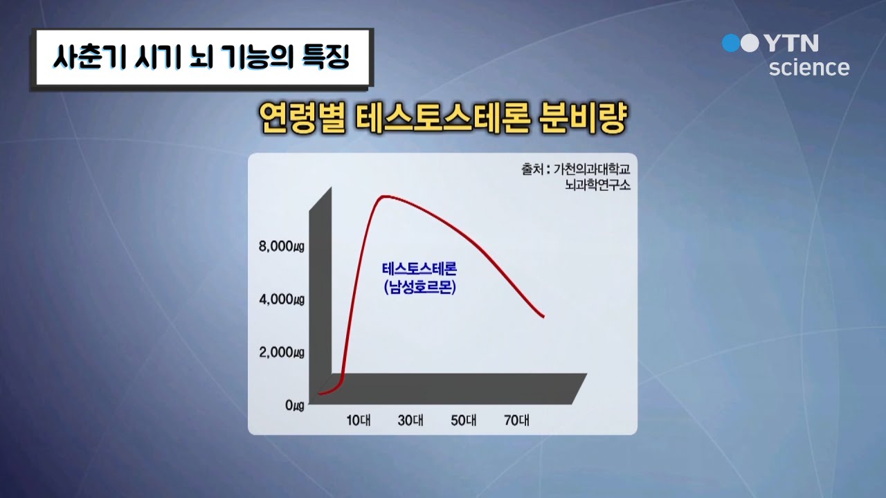 사춘기 시기 뇌 기능의 특징 / YTN 사이언스