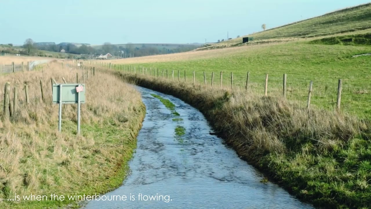 The Winterbourne at Water Dean Bottom