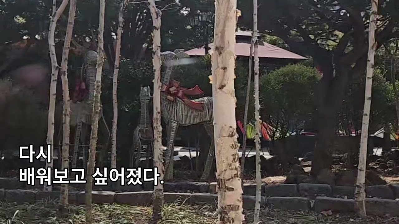 나만의 조용한 공간을 찾았습니다.
