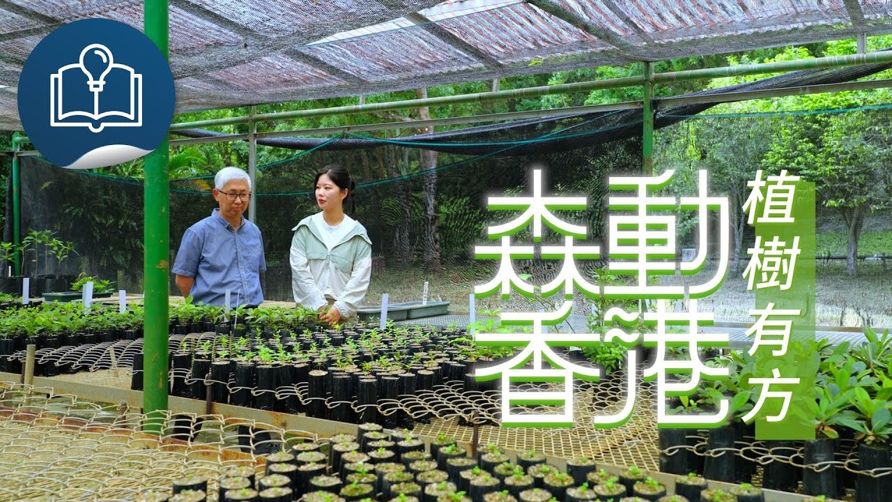 森動香港：植樹有方
