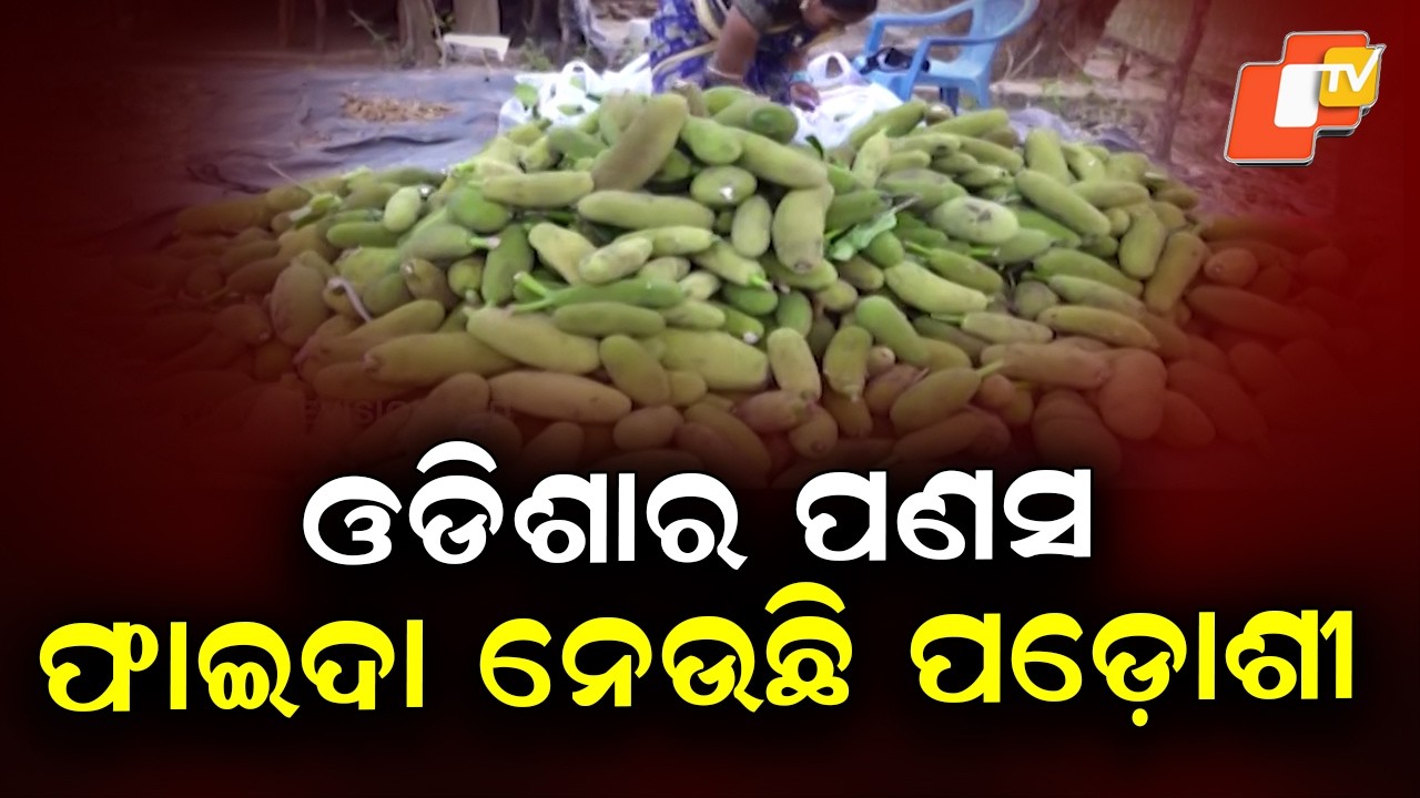 Jackfruit recession in Odisha  but its neighbors are taking advantage