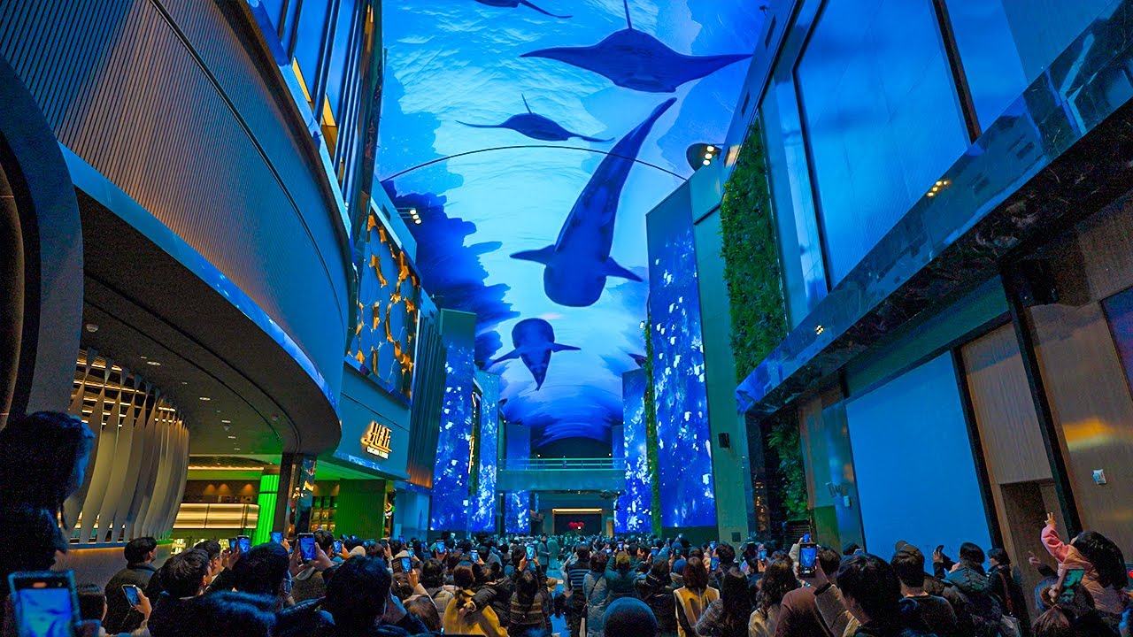 AURORA Huge LED Display of Inspire in Korea | Media Art 4K HDR