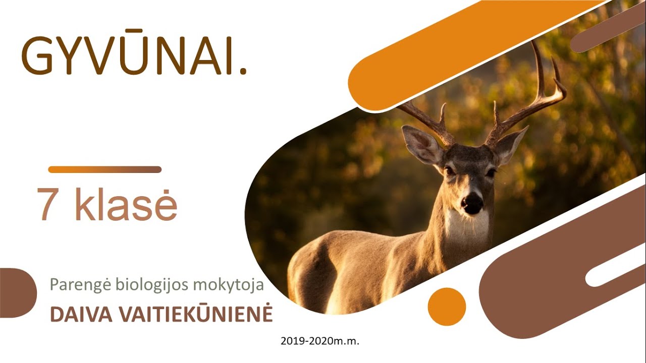 7 klasė. II pamoka. Gyvūnai. ŽUVYS
