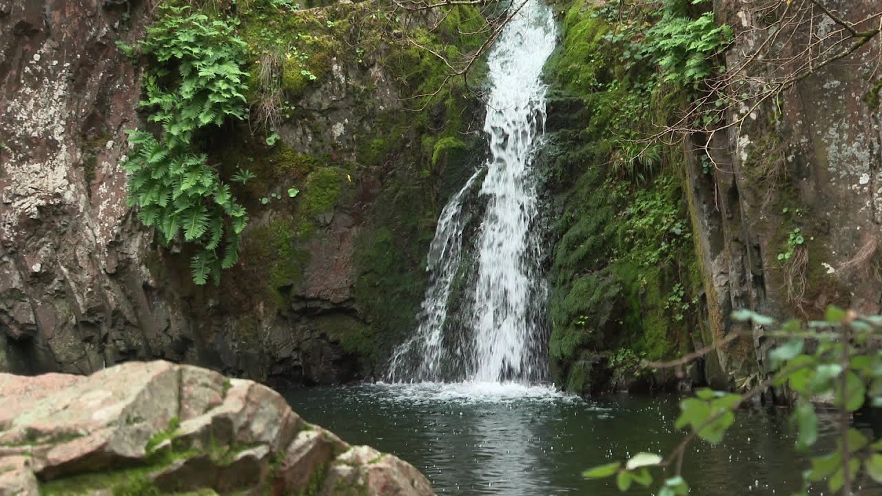 La vall&eacute;e du Pressoir bient&ocirc;t class&eacute;e site naturel &agrave; Thouars ?