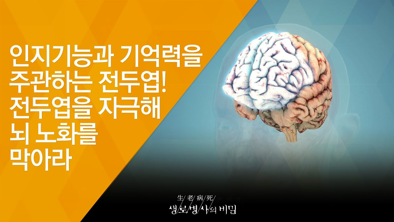 인지기능과 기억력을 주관하는 전두엽! 전두엽을 자극해 뇌 노화를 막아라 - (2018.6.6_650회 방송) 늙지 않는 뇌의 비밀