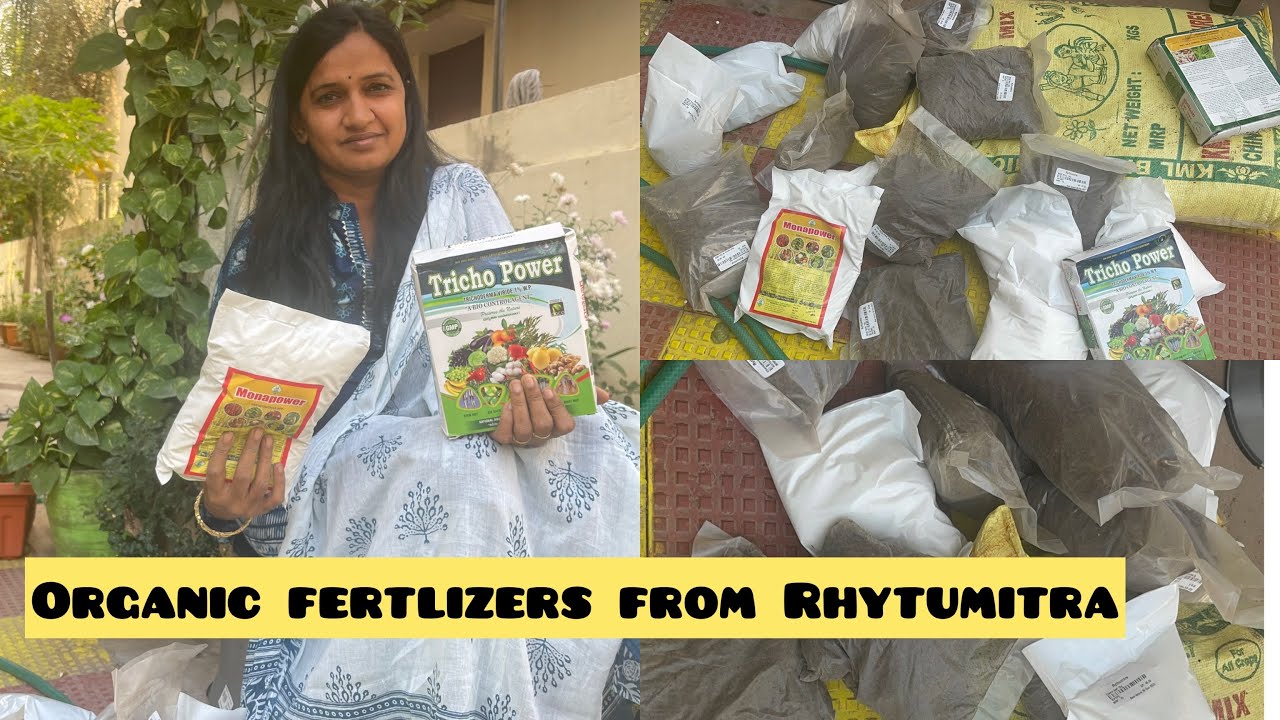 నేను Rythumitra నుంచి తెప్పించుకున్న Organic fertilizer Bonemeal,Epsomsalt, Trichoderma,Musturd cake
