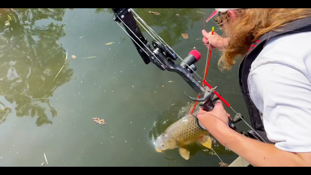 Bowfishing Big Carp on the Tennessee River (DAYTIME SHOOTING)