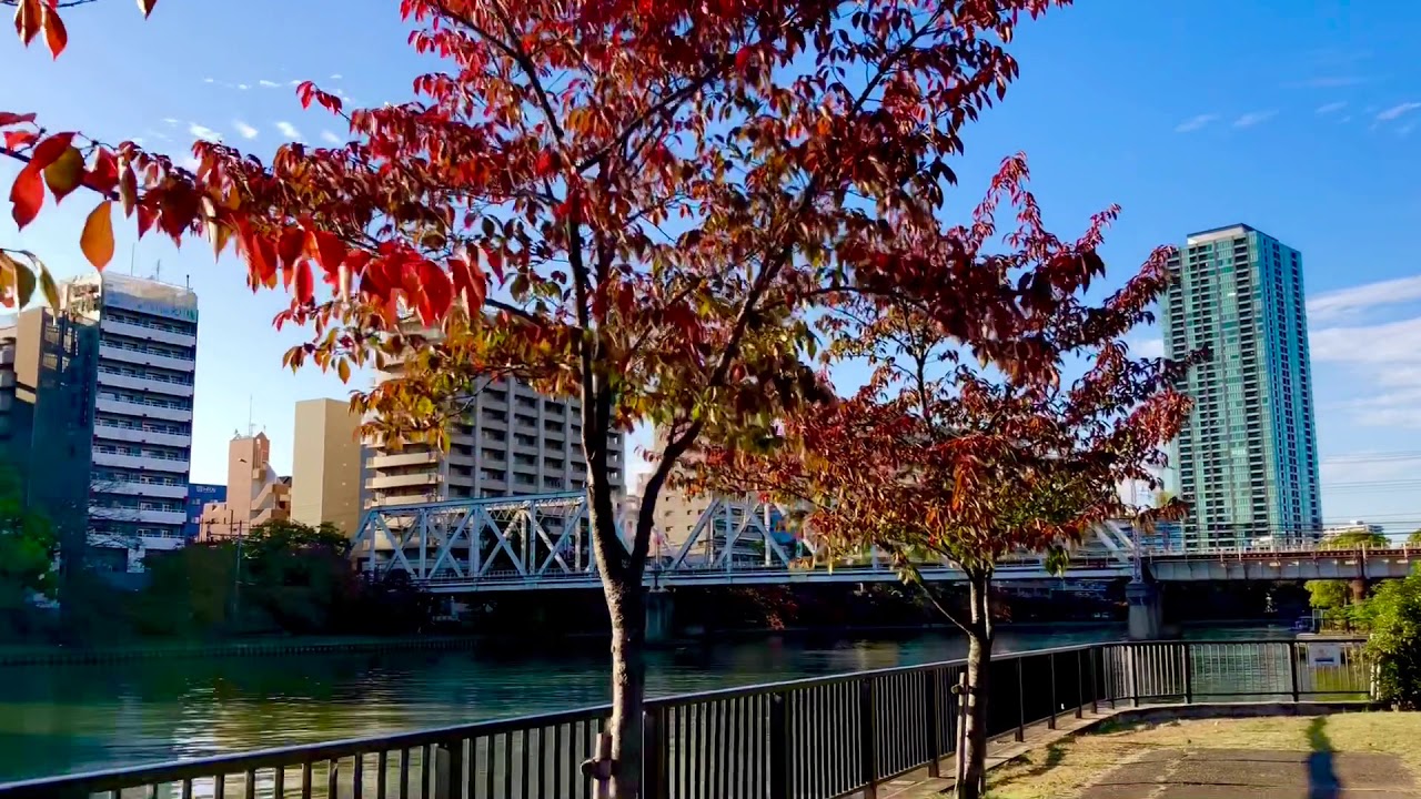 毛馬桜之宮公園