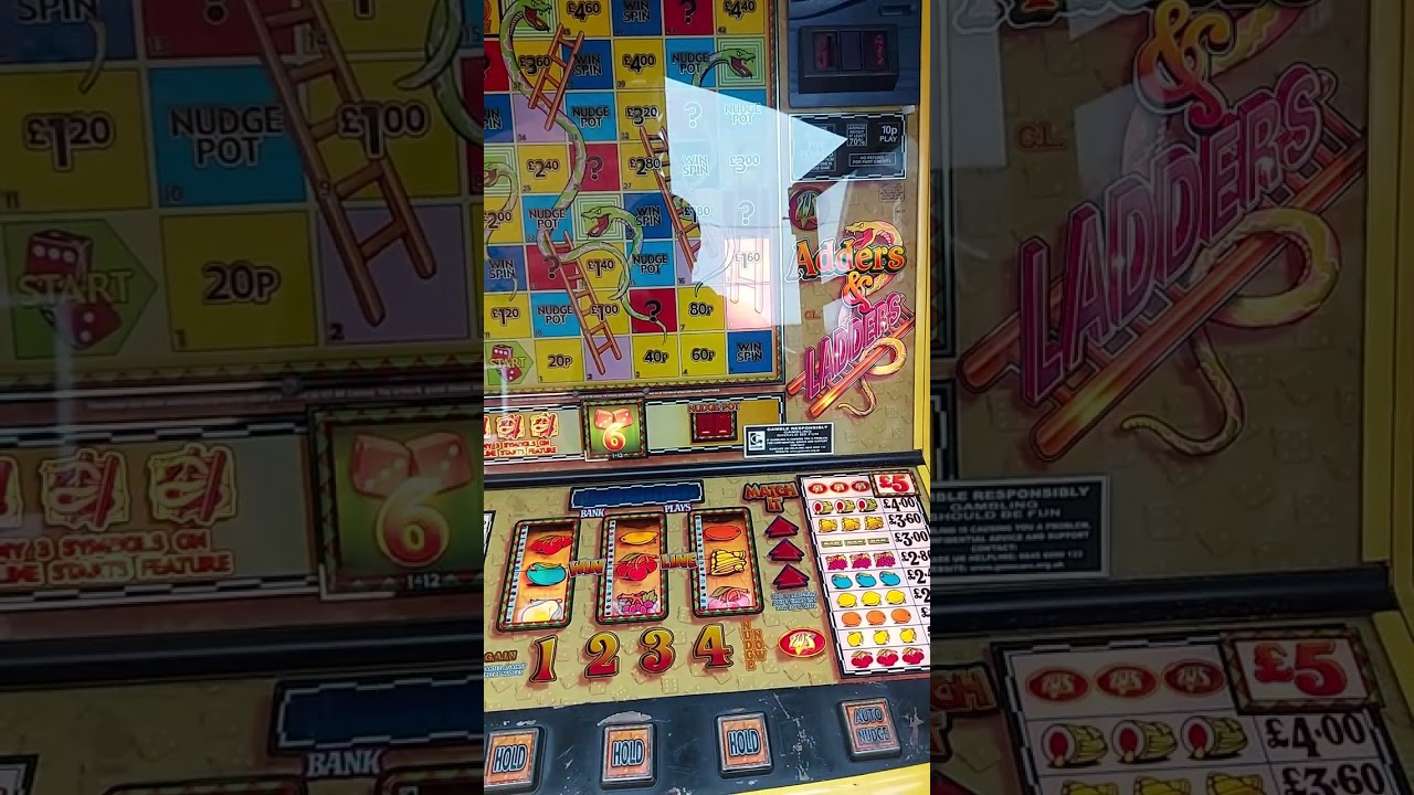 Adders & ladders fruit machine 