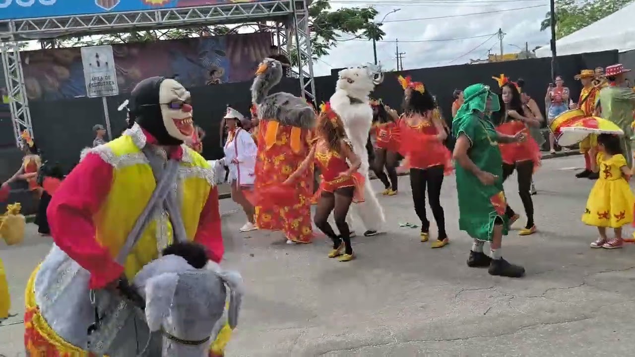 BOI CRIANÇA - NA AVENIDA DO FORTE 2026
