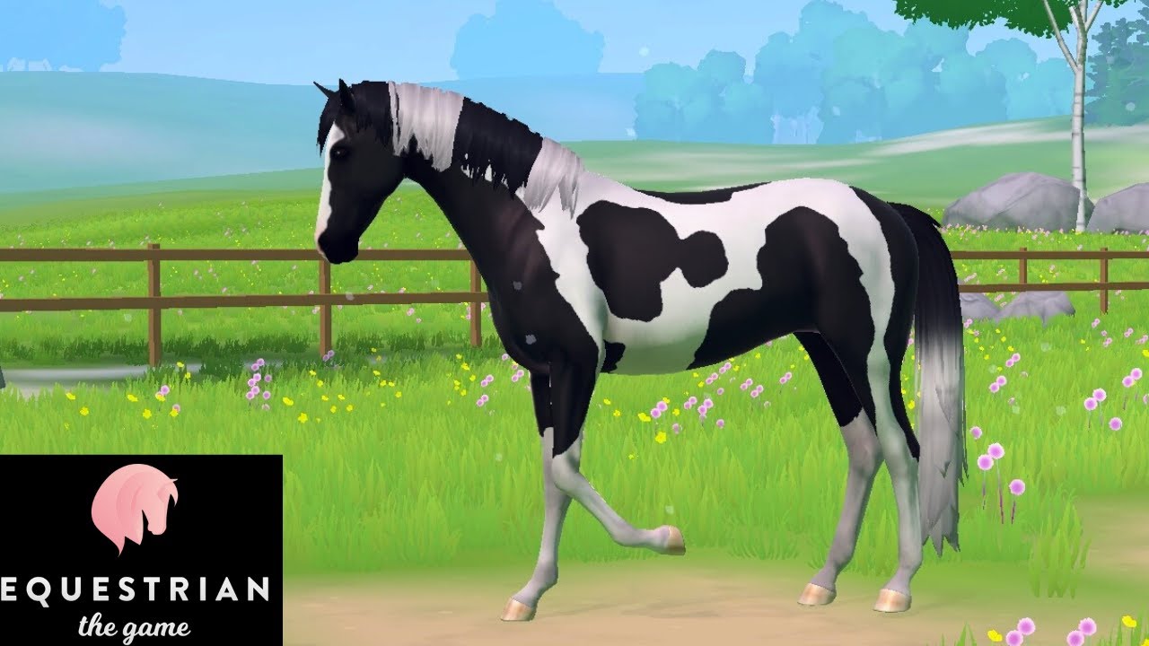 E-COINS GRATIS su Equestrian The Game! - Quanto è fattibile prendere un Pinto? #16