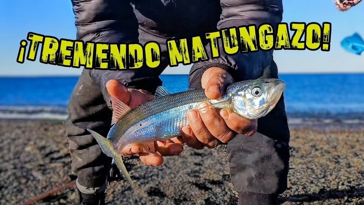 PESCA de PEJERREY en comodoro RIVADAVIA chubut