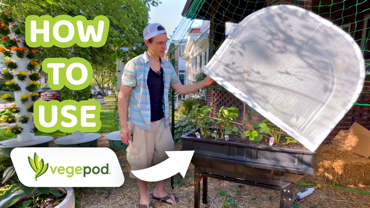 How To Build & Grow A Vegepod! Australian Shark Tanks VIRAL Self Watering Garden Bed
