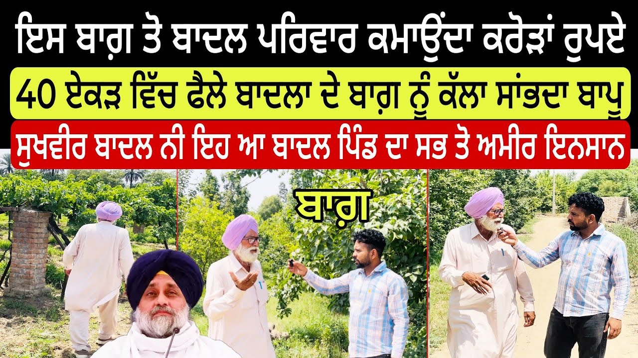 40 ਏਕੜ ਵਿੱਚ ਫੈਲੇ ਬਾਗ਼ ਤੋ ਕਰੋੜਾਂ ਰੁਪਏ ਕਮਾਉਂਦਾ ਬਾਦਲ ਪਰਿਵਾਰ, ਇਹ ਨੇ ਬਾਦਲ ਪਿੰਡ ਦੇ ਸਭ ਤੋ ਅਮੀਰ ਪਰਿਵਾਰ