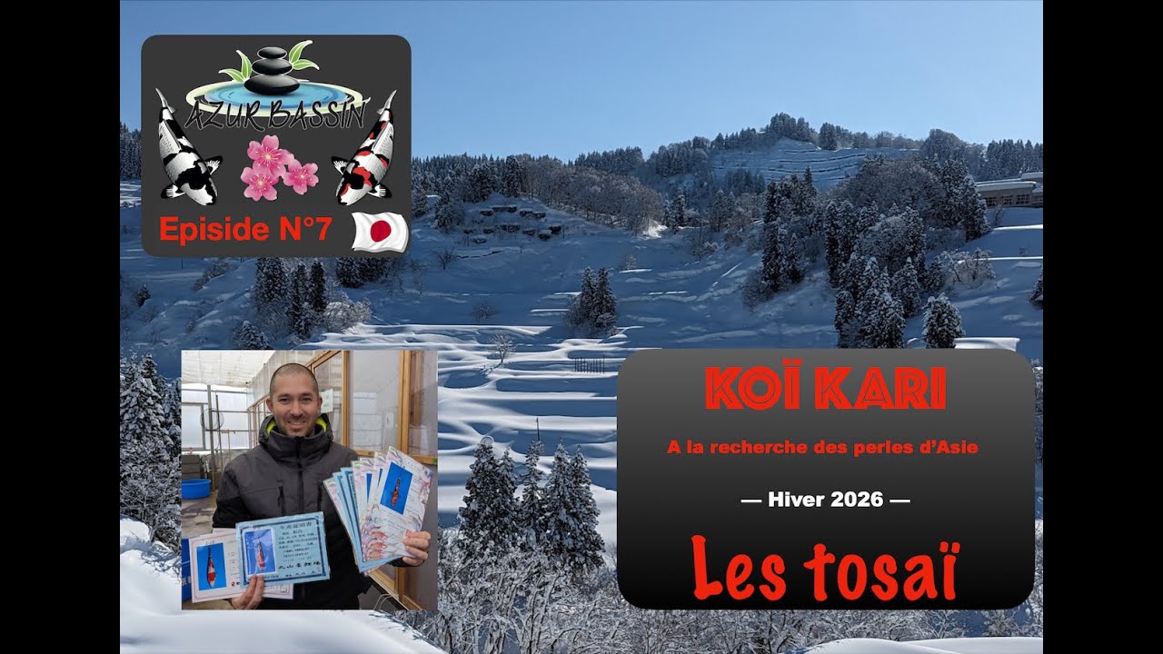 Nouvelle sélection koï Kari N°7 janvier 2026