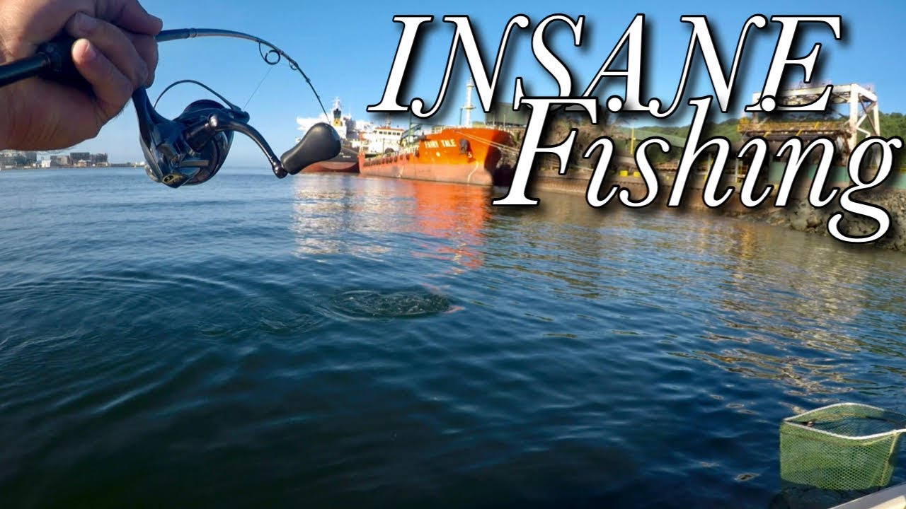 Durban Harbour Fishing is INSANE !! Catching a Variety of Kingfish Species, South Africa.