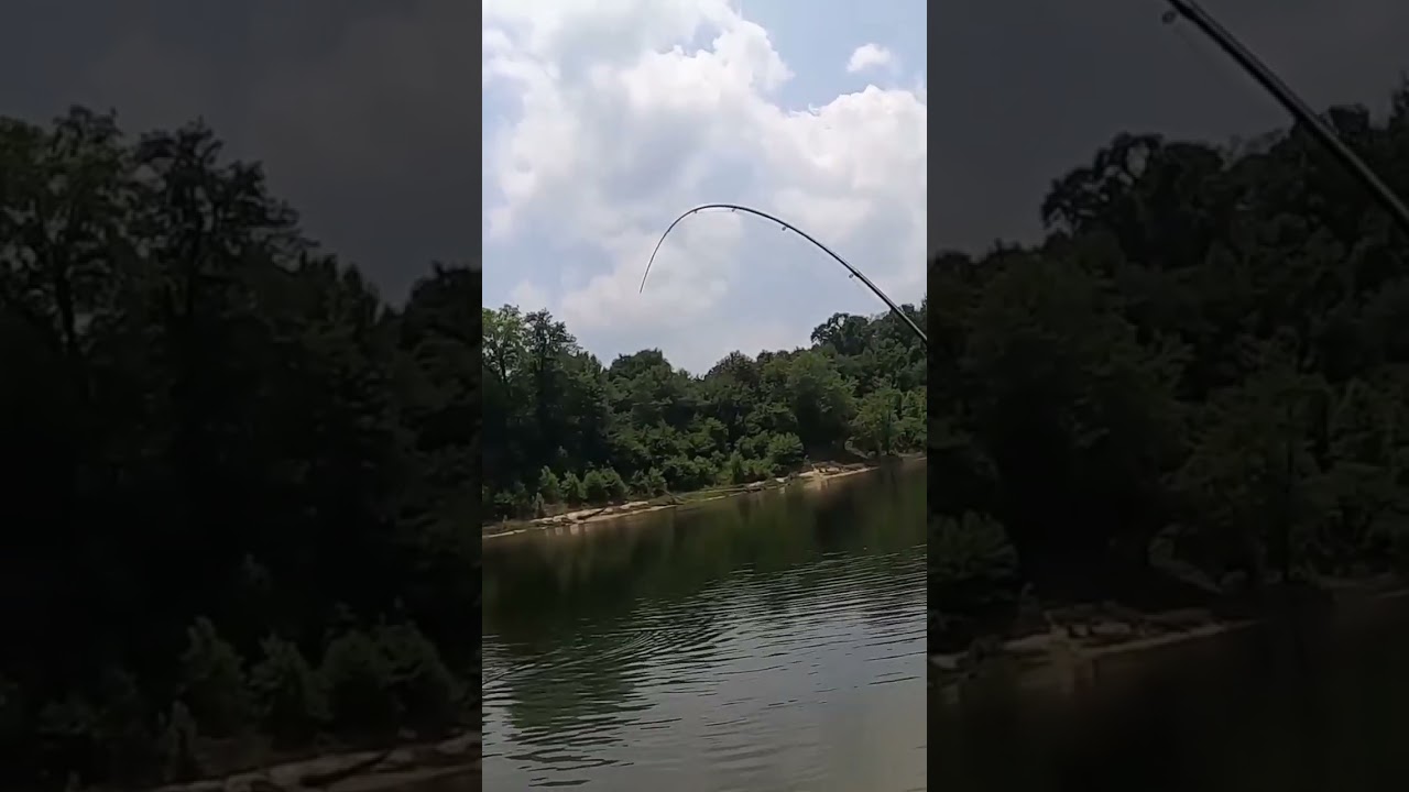 This 6yr old caught a potential IGFA world record. 