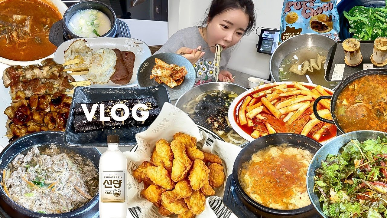 먹방 브이로그 | 소소하게 많이 잘 먹고 사는 일상🤤 뚝불 허니콤보 김치찌개 순두부찌개 닭개장 아찌떡볶이 육회비빔밥 닭꼬치 우동 꼬마김밥 | 동네 맛집 탐방 일상 vlog