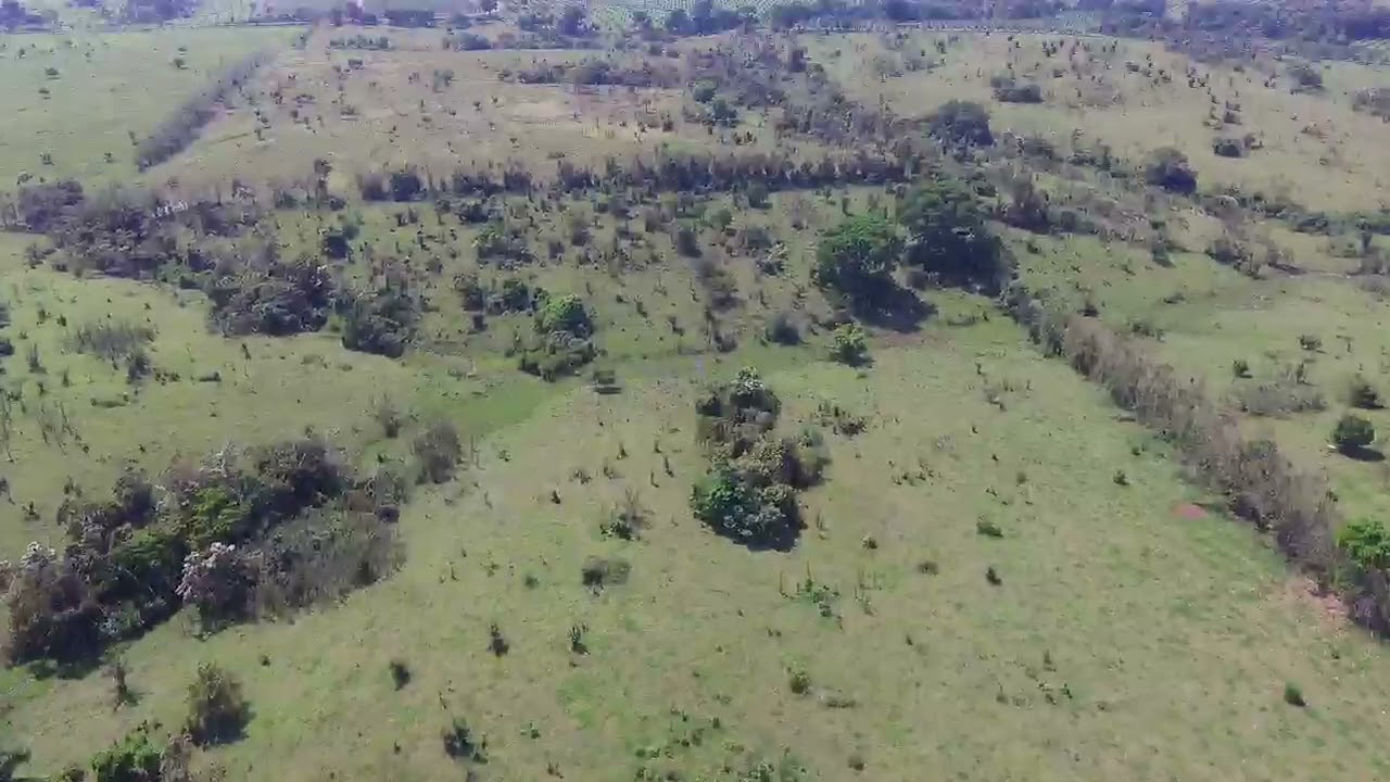 SAN ISIDRO 1