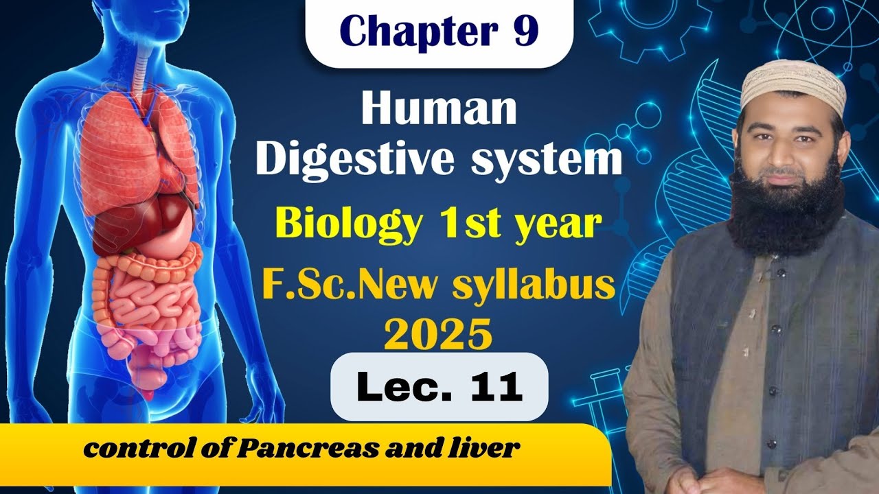 Role of liver | Human digestive system | Chapter 9| F.Sc. 1st Year Biology | Lec# 11