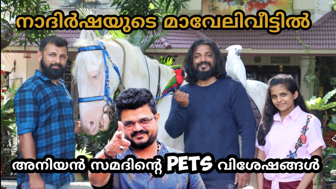 നാദിർഷയുടെവീട്ടിൽ അനിയൻസമദിന്റെ pets വിശേഷങ്ങൾ Nadirsha actor Samad Horse Riding
