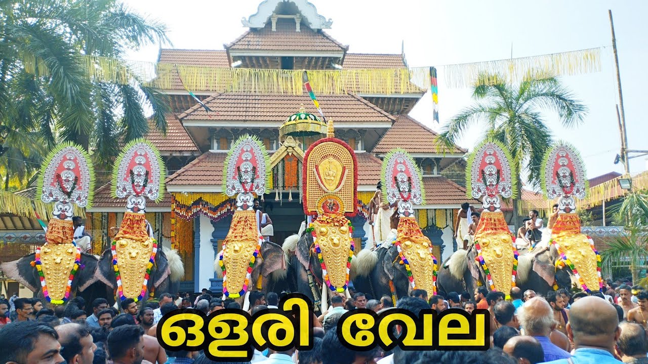 ഒളരി വേല, ഒളരിക്കര ശ്രീഭഗവതി ക്ഷേത്രം,🐘 Olari vela 2023 Olarikara Sree Bhagavathy Temple