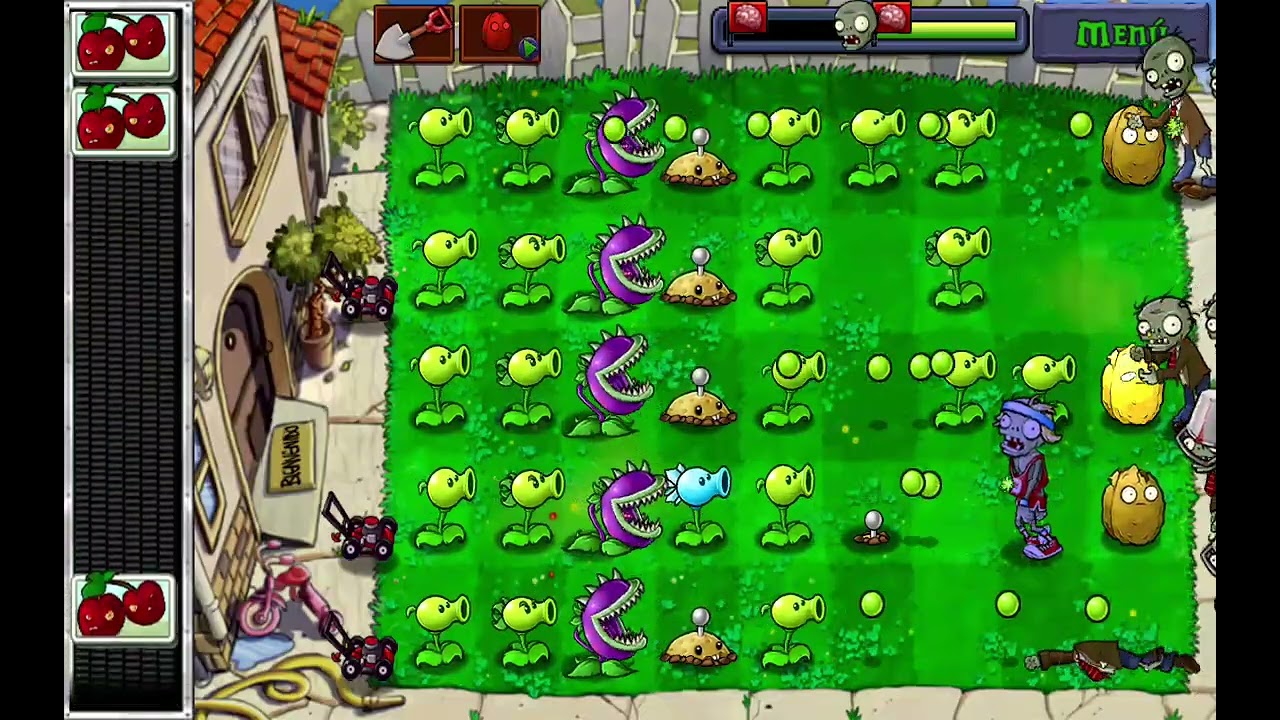 Pvz1 