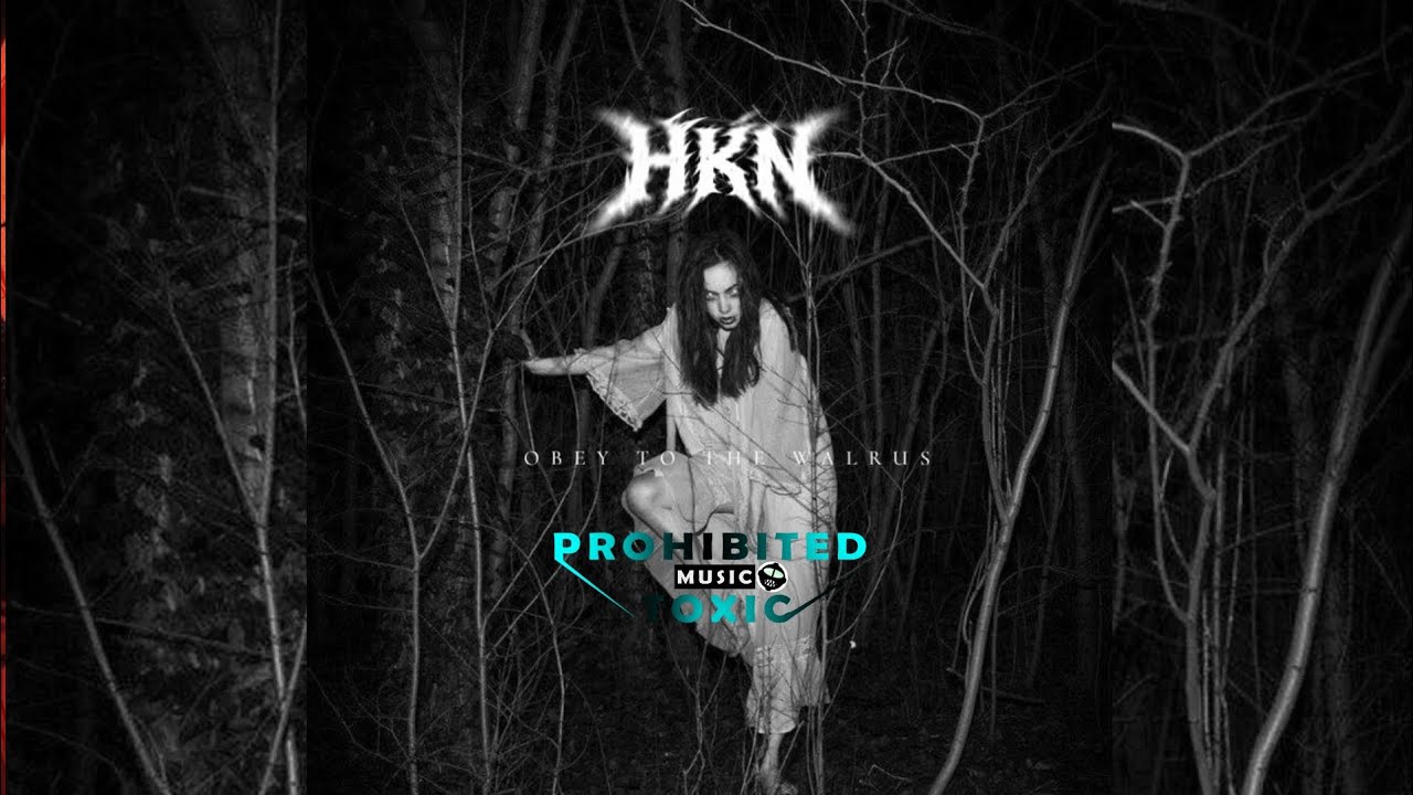 H K N - OBEY TO THE WALRUS