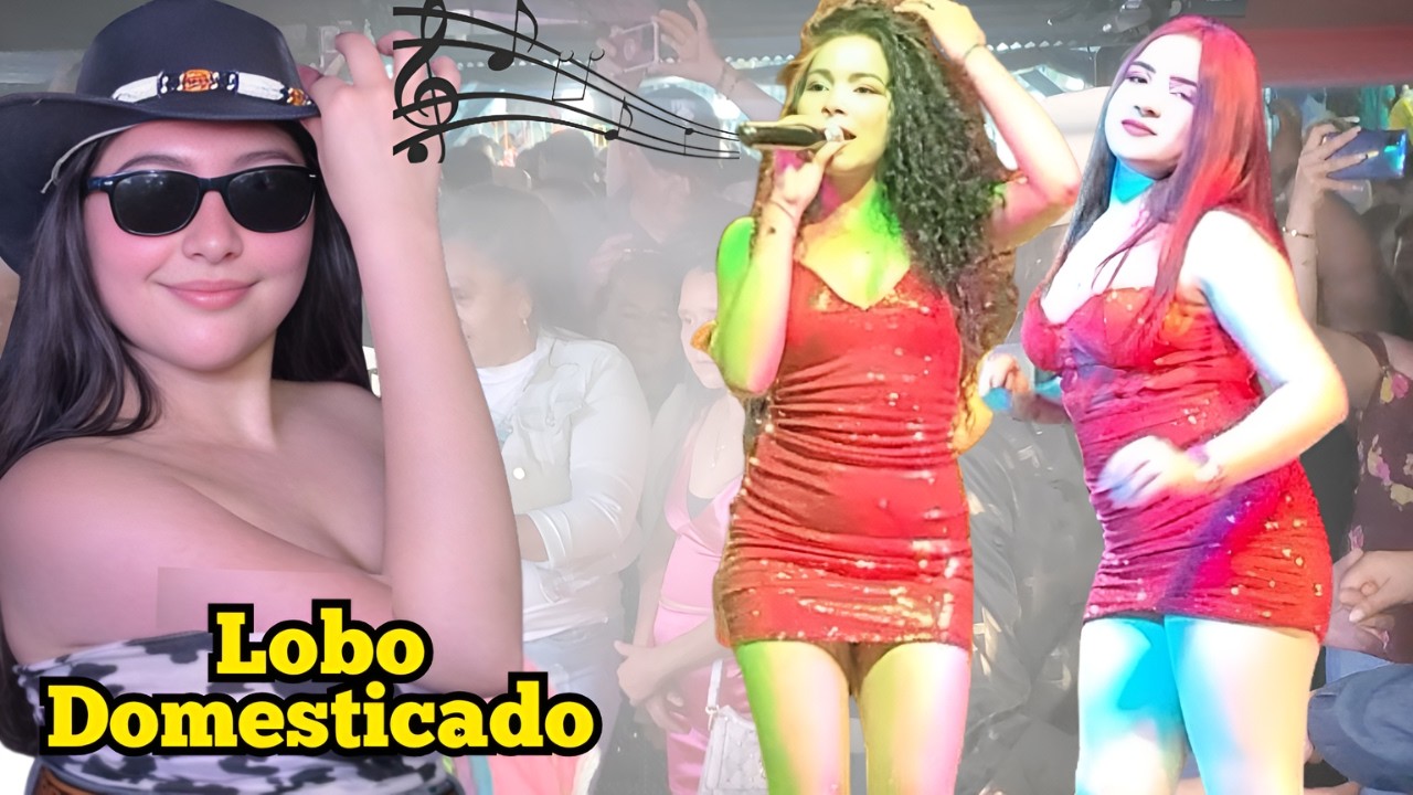🐺Lobo Domesticado Mix  No puedo Arrancarte De Mi Cali bella  Atardecer Tropical 2026