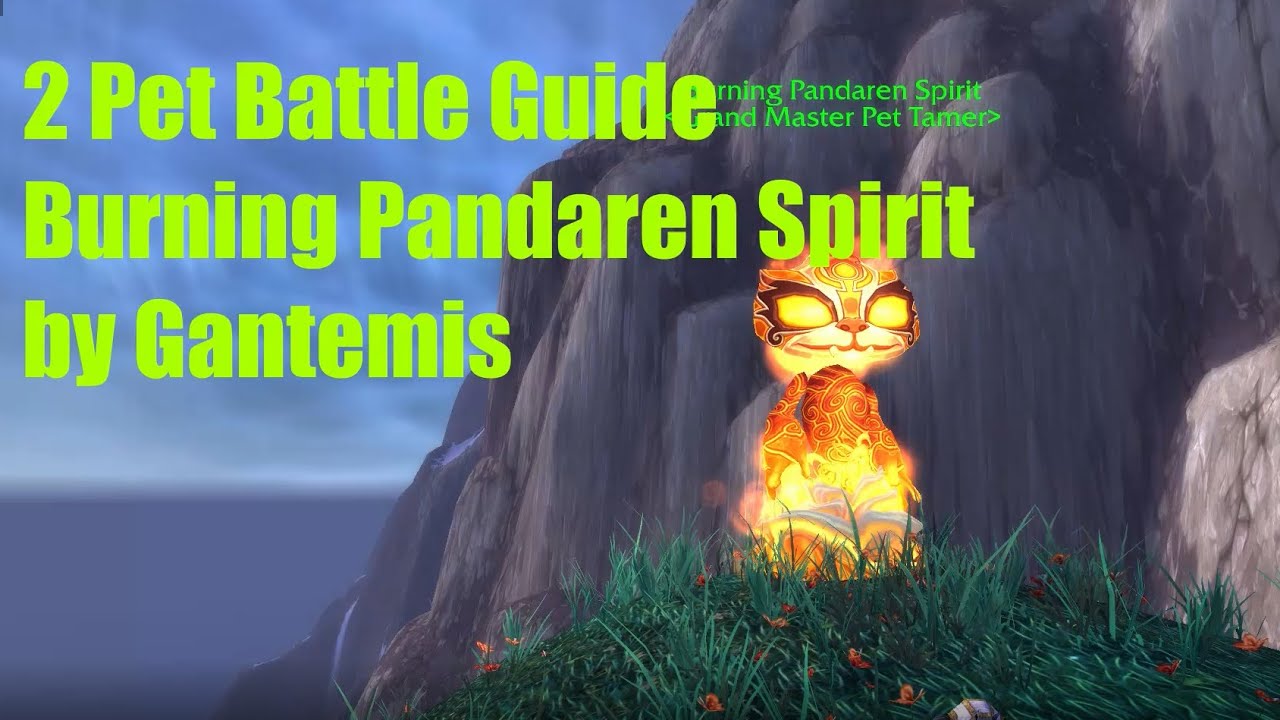 How to defeat Pandaren Fire Spirit 2  battle pet leveling guide