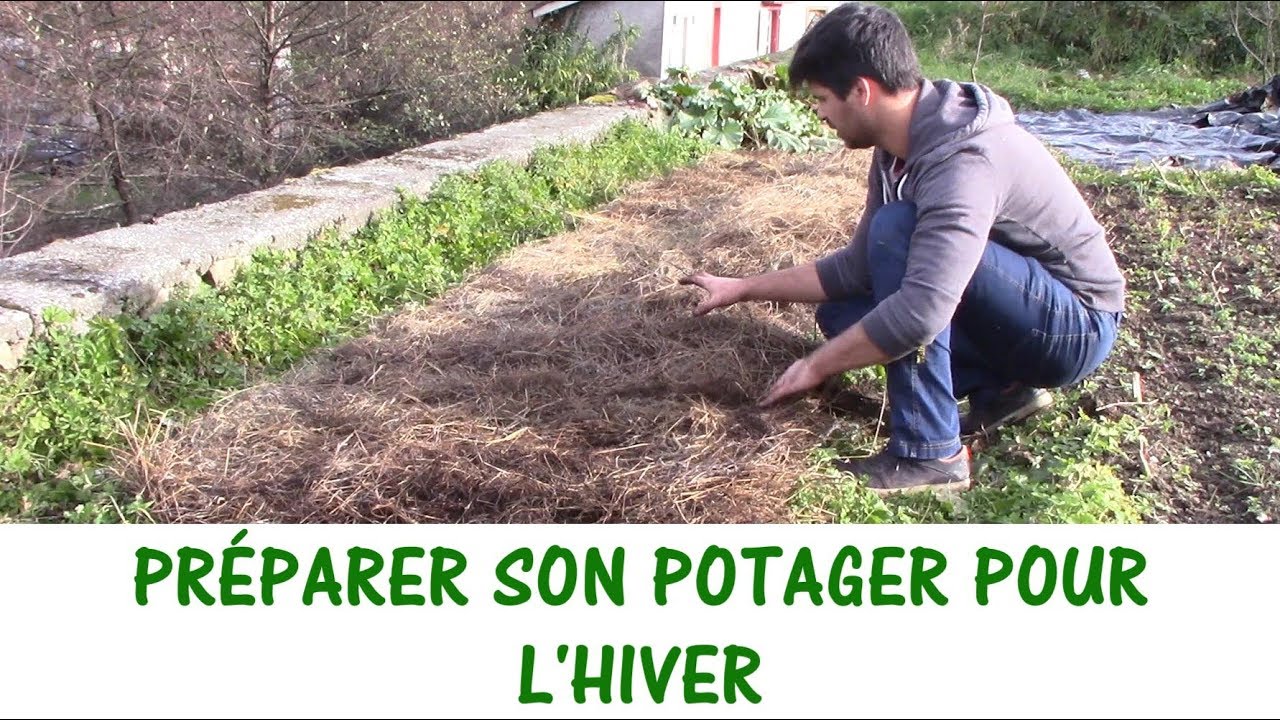PREPARE YOUR VEGETABLE GARDEN FOR WINTER