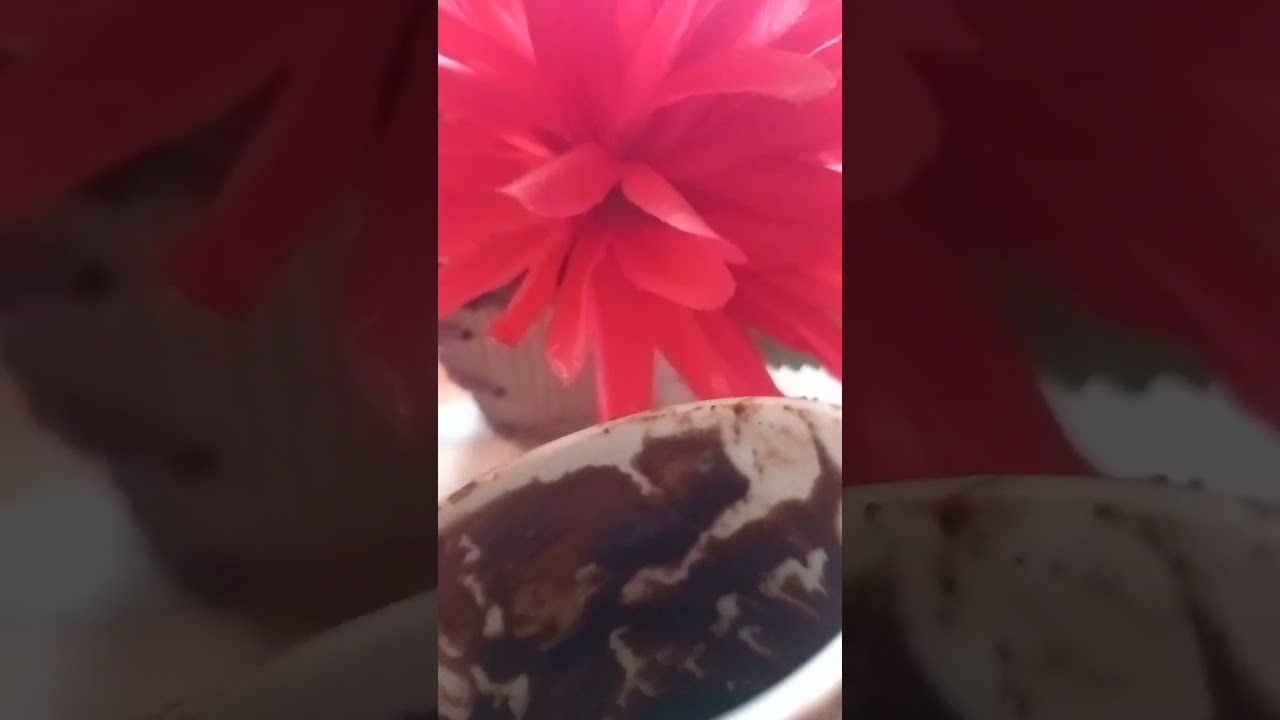 برج الجدي ابشر برزق واسع يا برج الجدي ولقاء عاطفي وفرحه هتغمر قلبك 💯💯💯