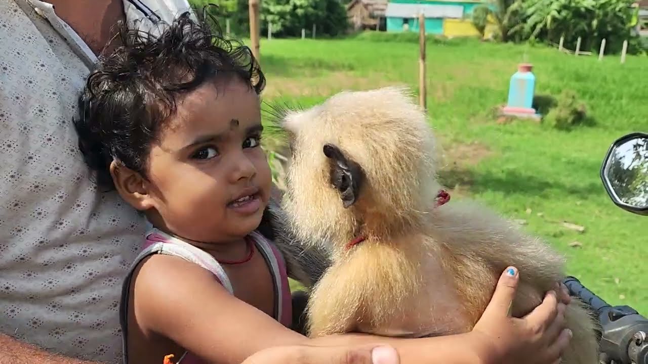 Sundri Chulbuli's friendship
