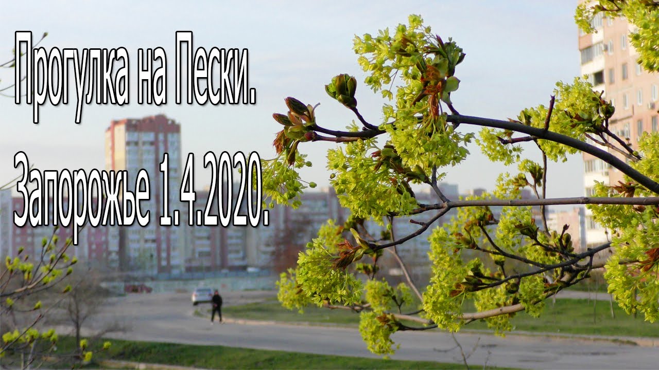 Прогулка на Пески. Маленькое путешествие.Запорожье 1.4.2020.