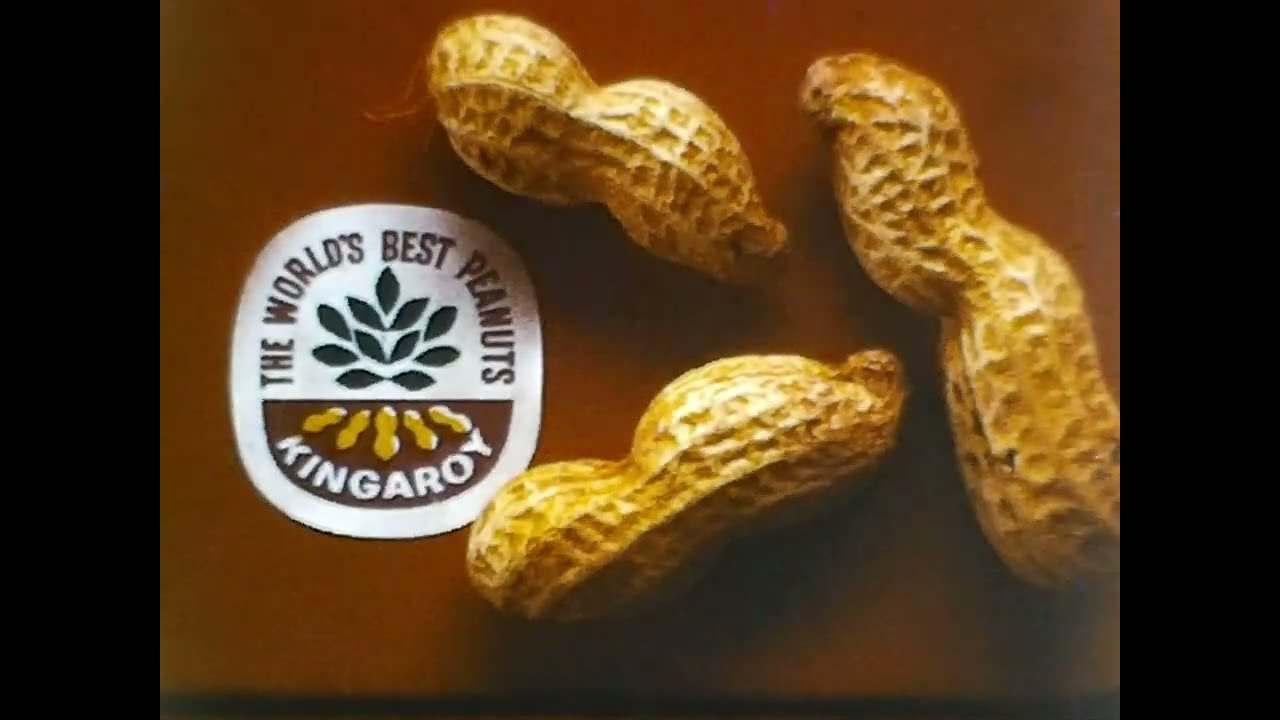 Kingaroy, Qld Peanuts - Vintage Kodak home movie 
