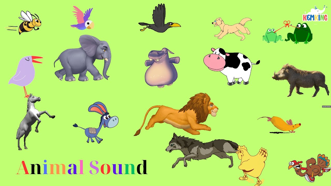 Animal sounds song