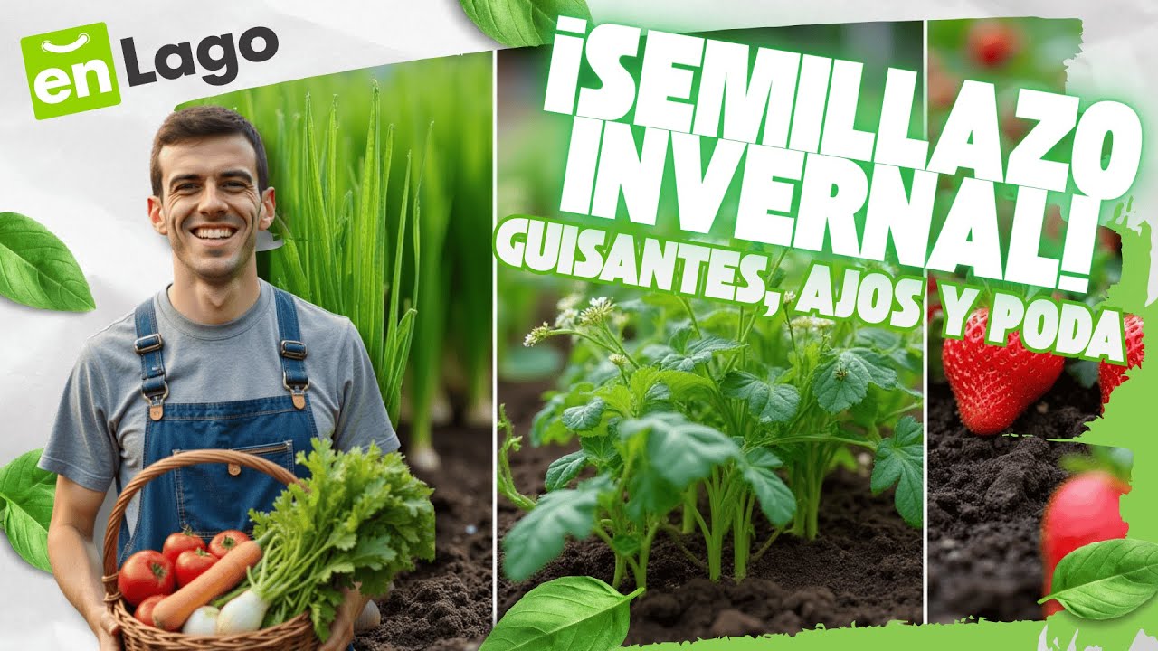 Huerto en Invierno: Semillas, Plantas y Consejos Clave