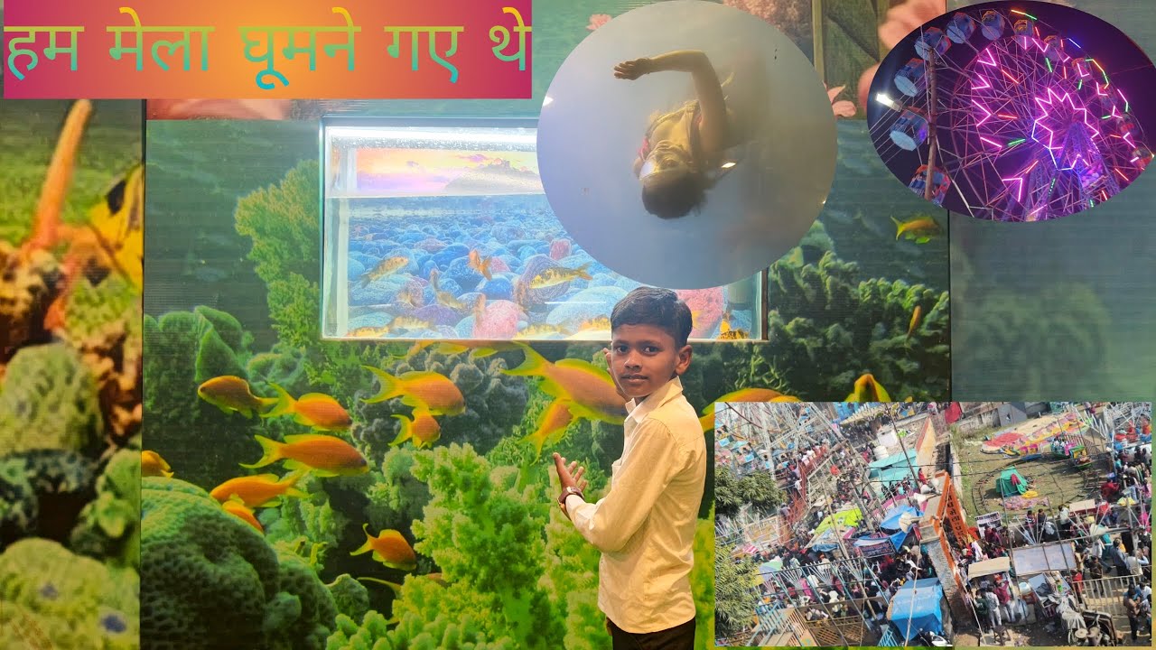 #video हम मेला घूमने गए थे #vlogs#desi#trending #viralvideo #manjeet Gautam