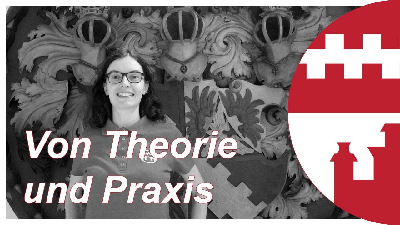 Vom Kriegs- zum Funeralhelm am Beispiel des Ortenburger Oberwappens