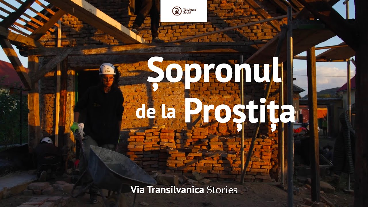 Proștița x Albastru pe Via Transilvanica