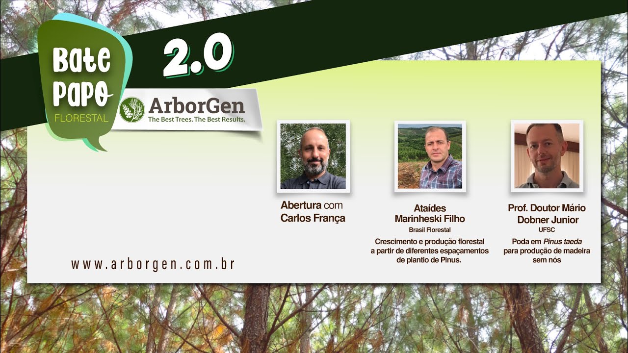 Bate Papo Florestal ArborGen 2.0 Pinus