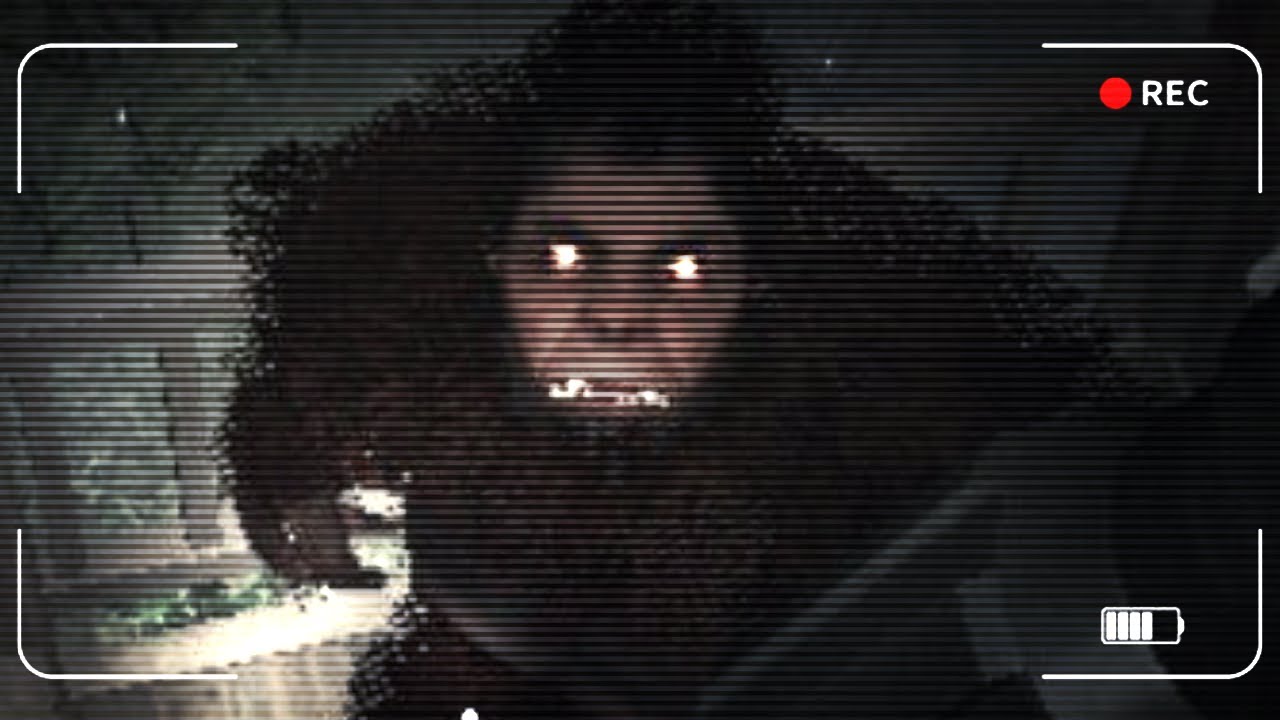 3 Noce u BIGFOOTA