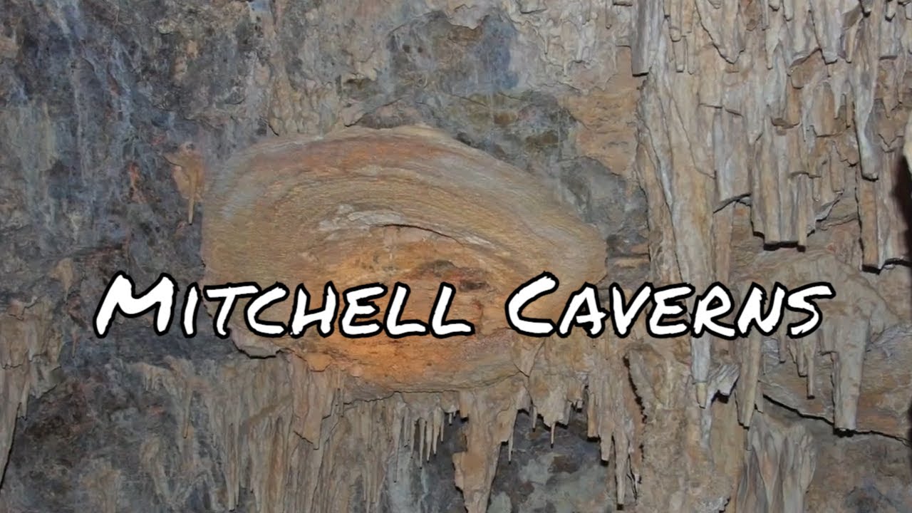 Discovering the Treasures of Mitchell Cavern
