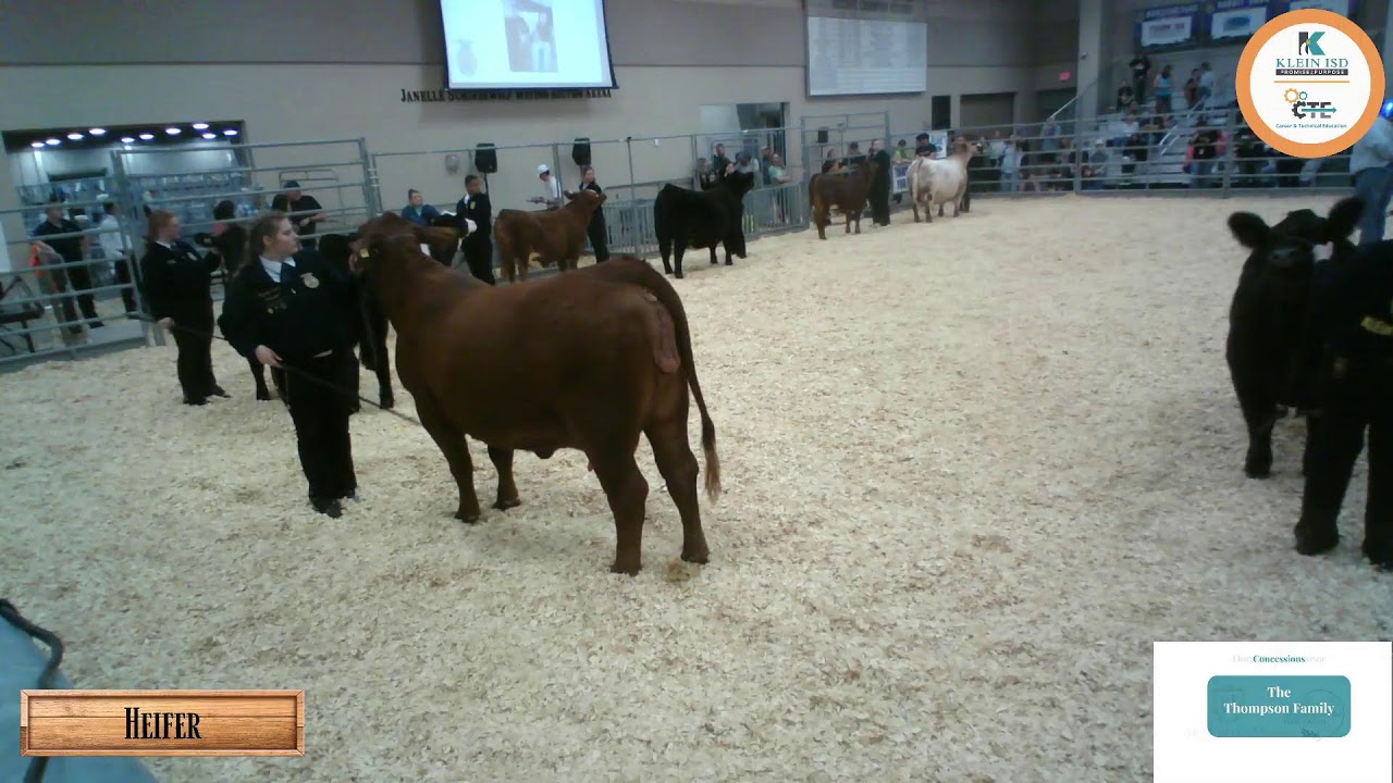56th Annual Klein ISD FFA Livestock and Project Show (Thursday)