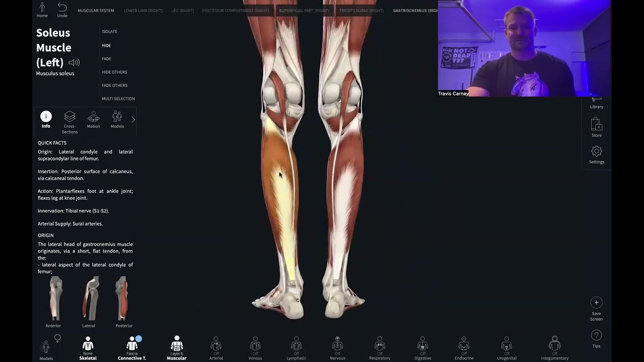 Nasm top 5 overactive muscles