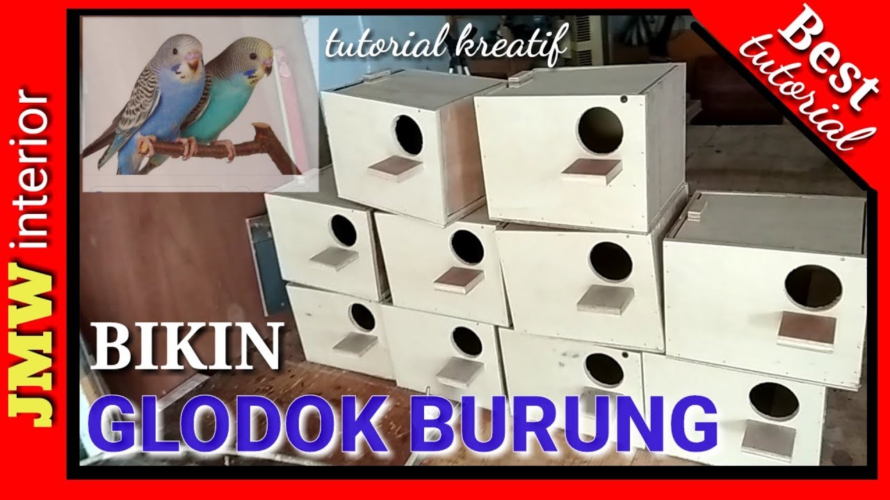 Cara Bikin Glodok Burung, Tempat menetas Burung