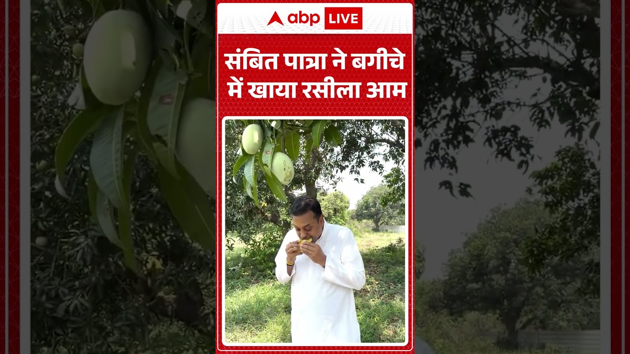 Viral Video : Sambit Patra ने बगीचे में खाया रसीला आम| #shorts #latestnews #viralshorts