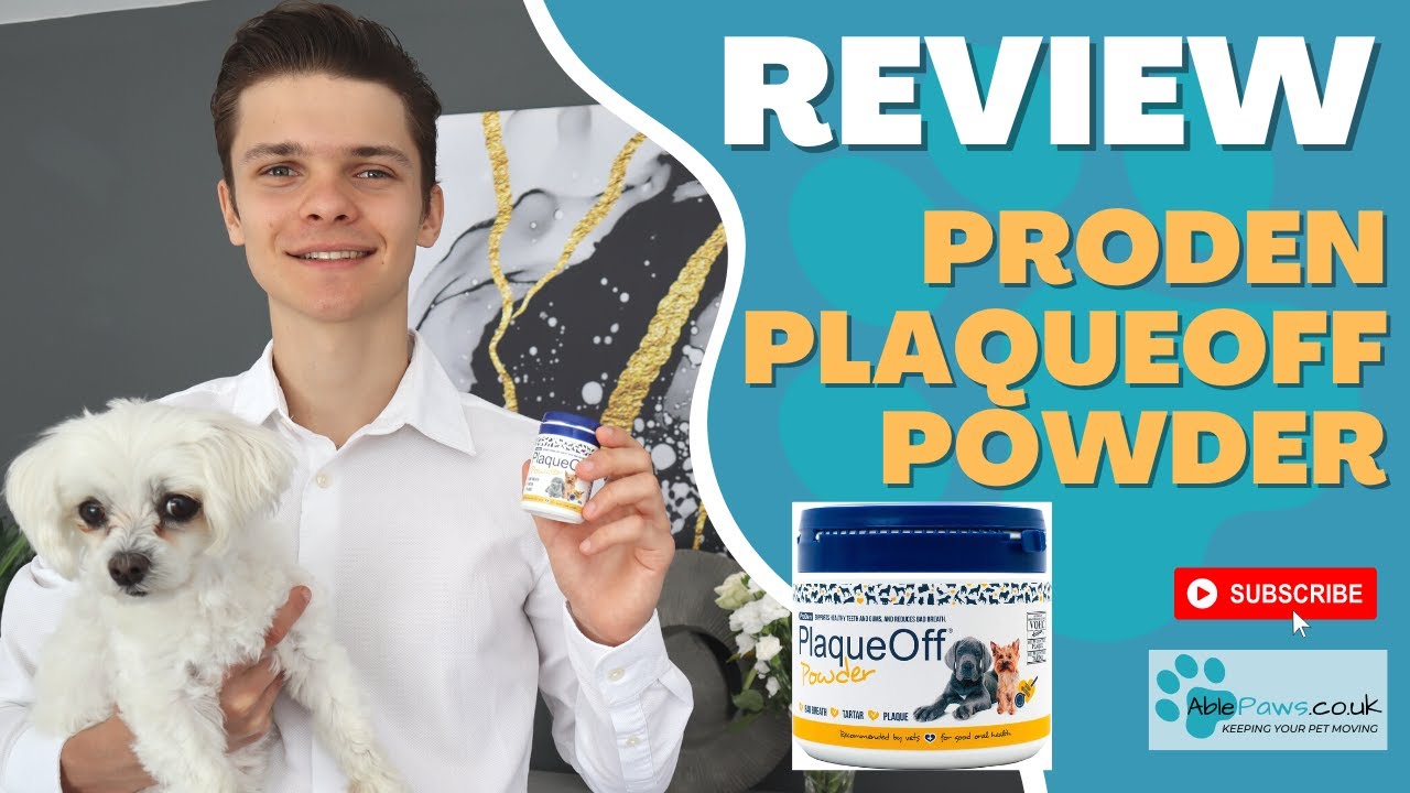 ProDen PlaqueOff Powder Review & Vets Assessment