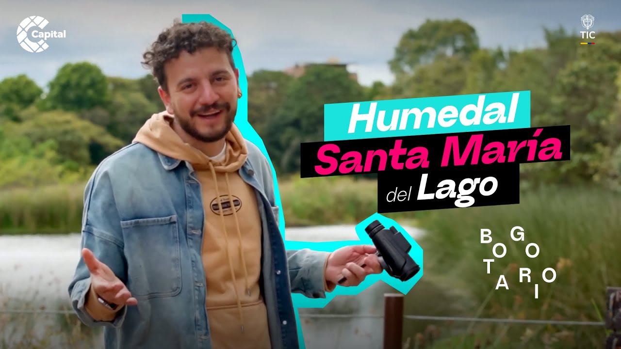 El Humedal Santa María del Lago une la memoria y la biodiversidad en medio del Bogotario | Bogotario